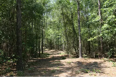 1515H Hephzibah - McBean Road, Hephzibah, GA 30815 - Photo 20