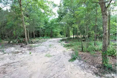 6 Sable Lane, Trenton, SC 29847 - Photo 8