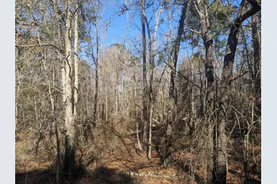 [Address not provided], Appling, GA 30802 - Photo 2