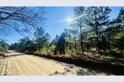 0 Loon Road, Barnwell, SC 29812 - Photo 6