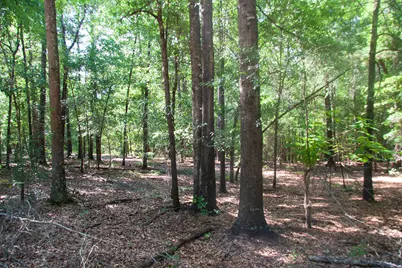 1515B Hephzibah - McBean Road, Hephzibah, GA 30815 - Photo 20