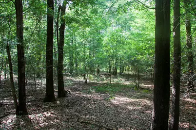 1515B Hephzibah - McBean Road, Hephzibah, GA 30815 - Photo 16