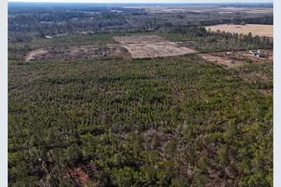 0 Spread Oak Road, Keysville, GA 30816 - Photo 8