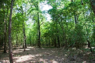 1515C Hephzibah - McBean Road, Hephzibah, GA 30815 - Photo 16