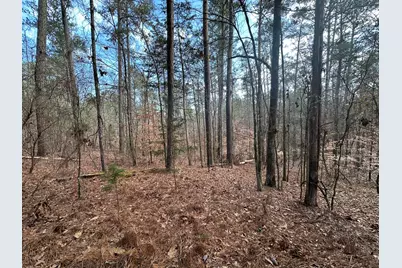 B63  L27 Half Moon Lane, McCormick, SC 29835 - Photo 6