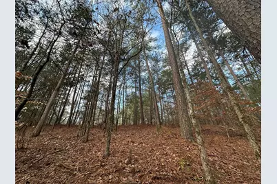 B63  L27 Half Moon Lane, McCormick, SC 29835 - Photo 8