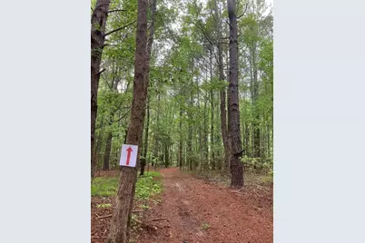 935 Neptune Trail, Appling, GA 30802 - Photo 6
