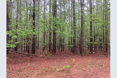 935 Neptune Trail, Appling, GA 30802 - Photo 1