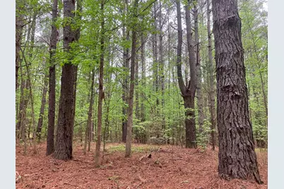 935 Neptune Trail, Appling, GA 30802 - Photo 4