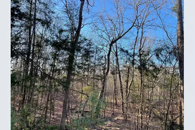 Lot 22 Plantation Point, Lincolnton, GA 30817 - Photo 4