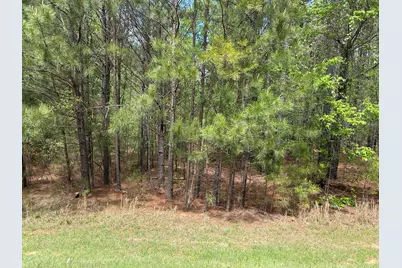 1147 Watersedge Cove, Tignall, GA 30668 - Photo 2