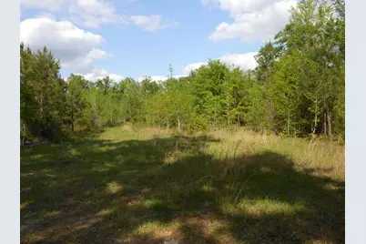 0 305 Highway, Midville, GA 30441 - Photo 22