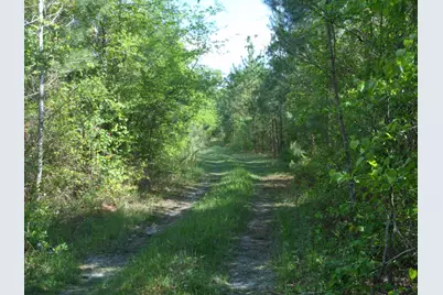 0 305 Highway, Midville, GA 30441 - Photo 26