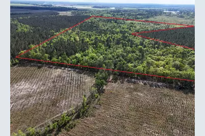 0 305 Highway, Midville, GA 30441 - Photo 2