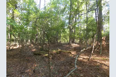 13 Riverview Ct, Lincolnton, GA 30817 - Photo 4