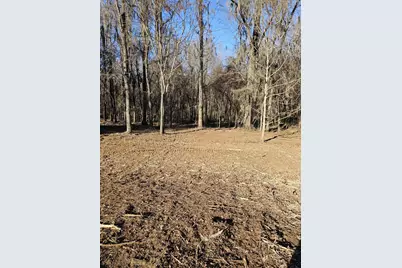 110 Vanna Lane, Waynesboro, GA 30830 - Photo 2