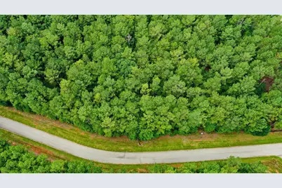 Lot 58 Lighthouse Pointe, Lincolnton, GA 30817 - Photo 10
