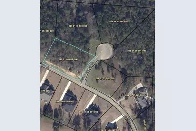 Lot P-38 Eutaw Springs Trail, North Augusta, SC 29860 - Photo 4