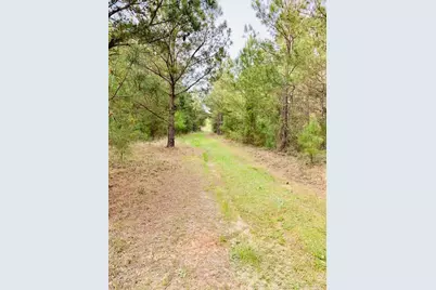 2405 Hwy 88, Hephzibah, GA 30815 - Photo 6
