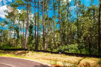 Lot 16 Leyland Court, Clarks Hill, SC 29821 - Photo 2