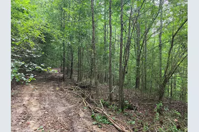 2031 McDade Road, Hephzibah, GA 30815 - Photo 2