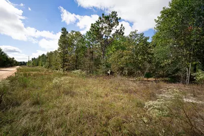 Lot 11 Marie Vann Road, Waynesboro, GA 30830 - Photo 16