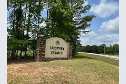 102 Antlers Trail, Hephzibah, GA 30815 - Photo 1