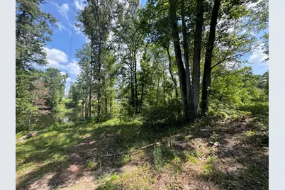0 Hummingbird Drive, Trenton, SC 29847 - Photo 12
