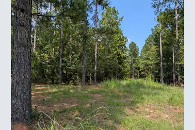 00A Elberton Hwy, Lincolnton, GA 30817 - Photo 1