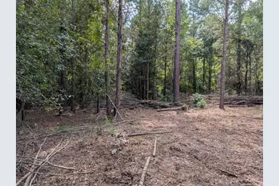 00A Elberton Hwy, Lincolnton, GA 30817 - Photo 4
