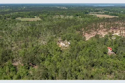 1250 Mosley Road, Lincolnton, GA 30817 - Photo 16