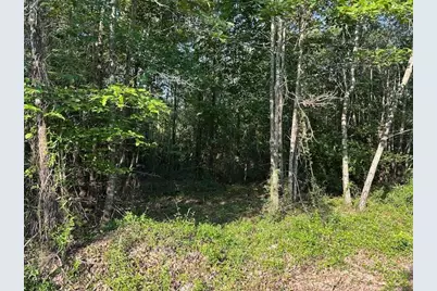 2576 Jessie James Pond Road, Wrens, GA 30833 - Photo 52