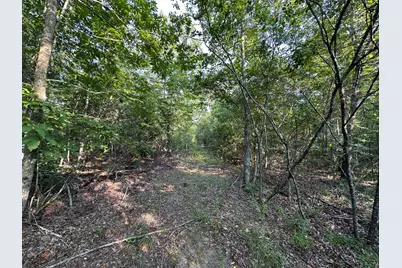 2576 Jessie James Pond Road, Wrens, GA 30833 - Photo 42