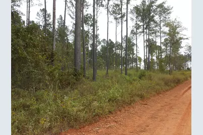 0 Hannah Lane, Keysville, GA 30816 - Photo 2