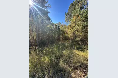 Lot 27&28 Lakeshore Estates Drive, Lincolnton, GA 30817 - Photo 4