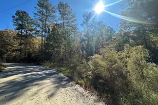 Lot 27&28 Lakeshore Estates Dr, Lincolnton, GA 30817 - Photo 1