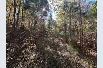Lot 27&28 Lakeshore Estates Drive, Lincolnton, GA 30817 - Photo 10
