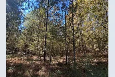 Lot 27&28 Lakeshore Estates Drive, Lincolnton, GA 30817 - Photo 6