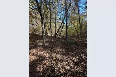 Lot 27&28 Lakeshore Estates Drive, Lincolnton, GA 30817 - Photo 8
