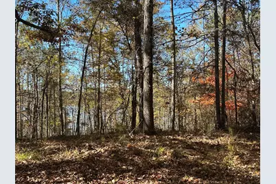Lot 27&28 Lakeshore Estates Drive, Lincolnton, GA 30817 - Photo 16