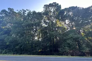 Lot 3A Elberton Hwy, Lincolnton, GA 30817 - Photo 1