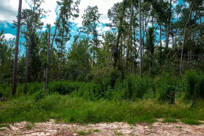 Lot 2 Furey Drive, Clarks Hill, SC 29821 - Photo 1