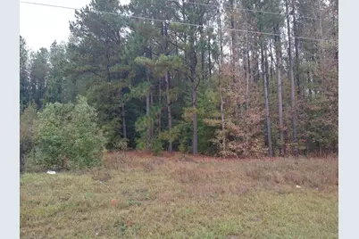 0 Gresham Road, Keysville, GA 30816 - Photo 2