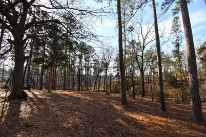 123 Cheryl Ann Drive, Grovetown, GA 30813 - Photo 34