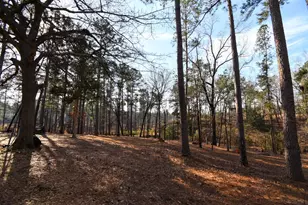 123 Cheryl Ann Dr, Grovetown, GA 30813 - Photo 34