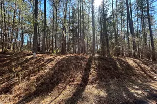 192 Memorial Dr, McCormick, SC 29835 - Photo 64