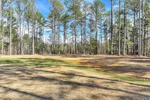 1018 Sadie Ln, Lincolnton, GA 30817 - Photo 52