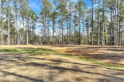 1018 Sadie Lane, Lincolnton, GA 30817 - Photo 54