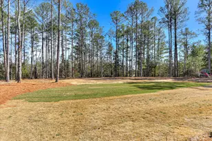 1018 Sadie Ln, Lincolnton, GA 30817 - Photo 50