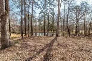 1330 Freeman Harriss Rd, Harlem, GA 30814 - Photo 48